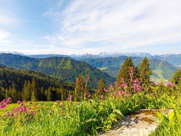 5 Tage Auszeit in den Chiemgauer Bergen inkl. Thermenbesuch, täglich Abendessen in Unterwössen, Bayern inkl. Halbpension Unkategorisiert online kaufen 5 Tage Auszeit in den Chiemgauer Bergen inkl. Thermenbesuch, täglich Abendessen in Unterwössen, Bayern inkl. Halbpension Unkategorisiert online kaufen